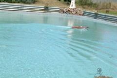 DSCN4044